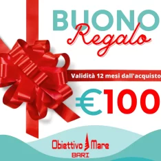 Coupon del valore di euro 100